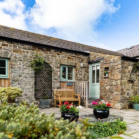 Cwm Connell Coastal Cottages Moylgrove 外观 照片