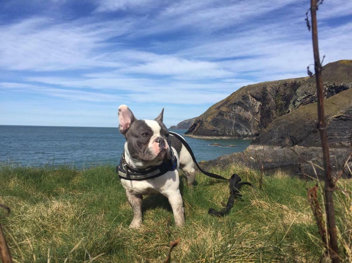 Cwm Connell Coastal Cottages Moylgrove 外观 照片