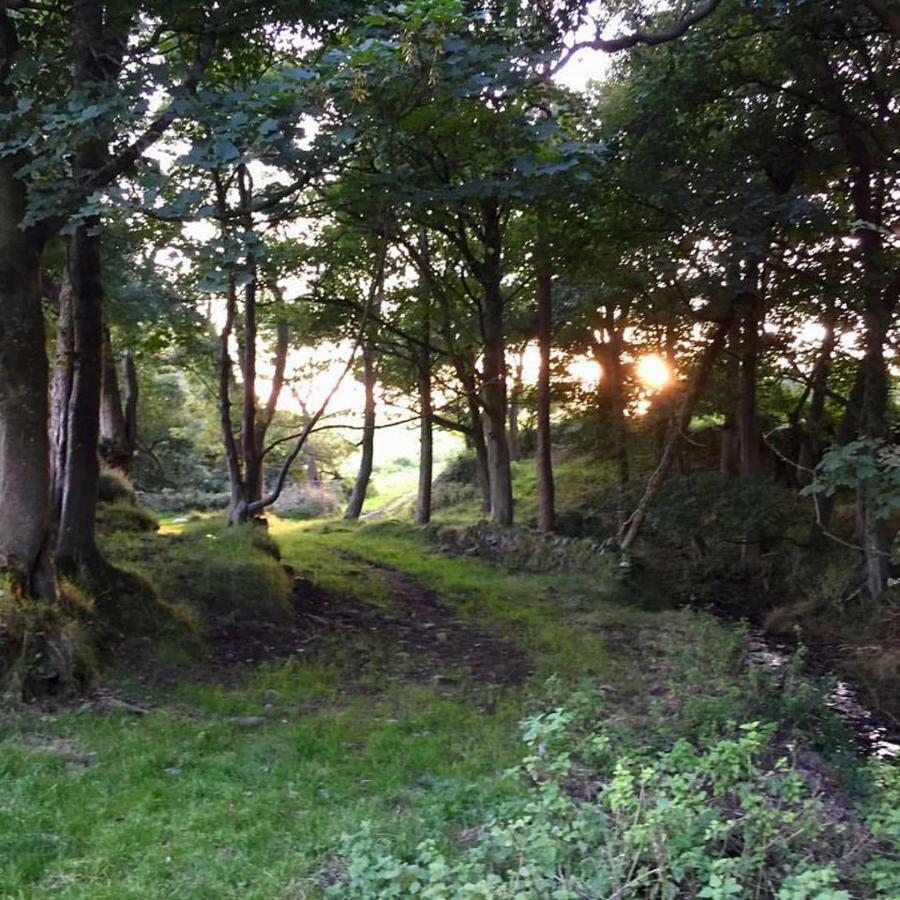 Cwm Connell Coastal Cottages Moylgrove 外观 照片